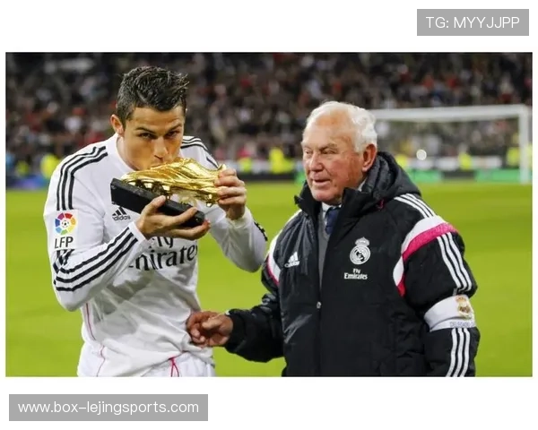 足球球星43的成长历程与辉煌成就全面深度解析